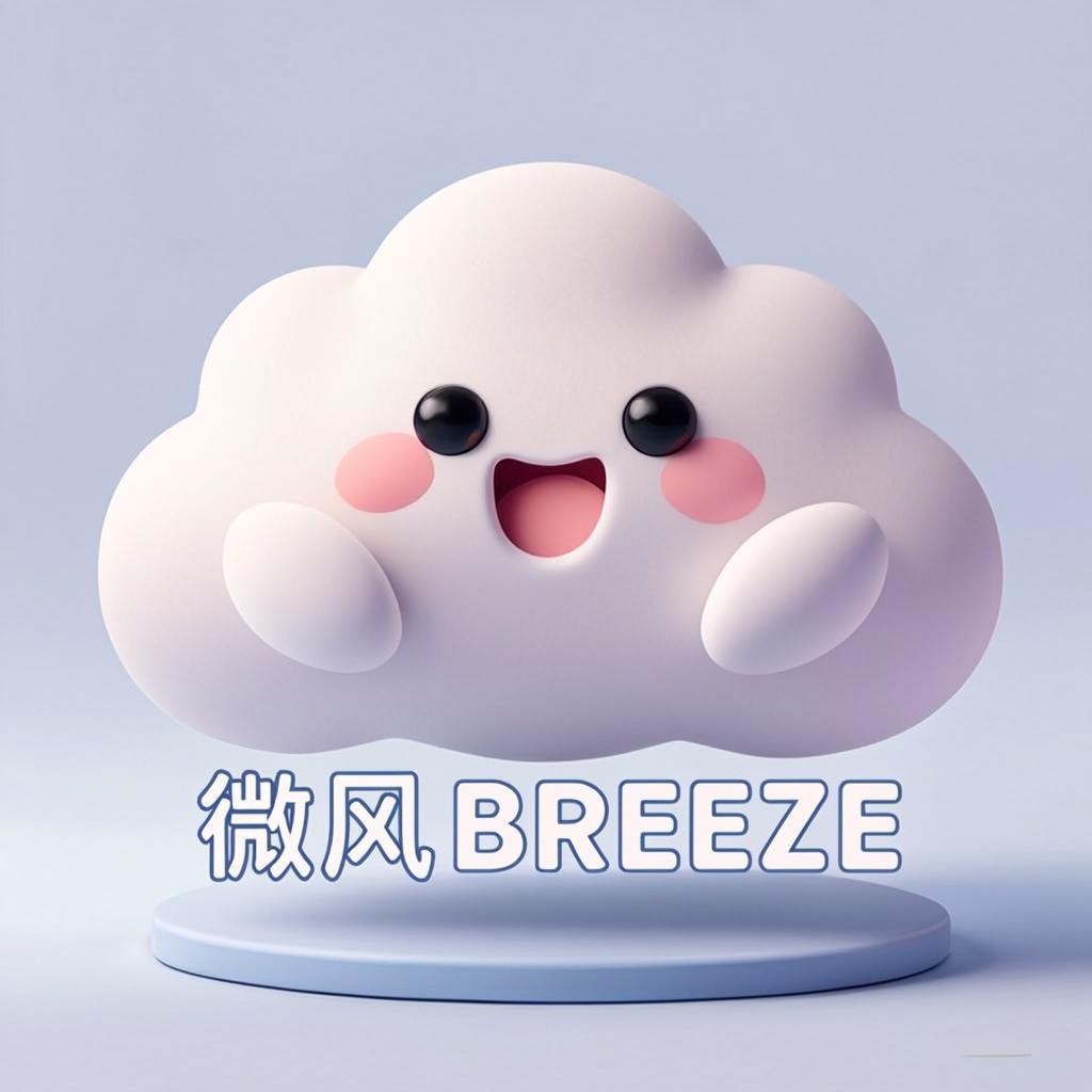 微风网络 图标